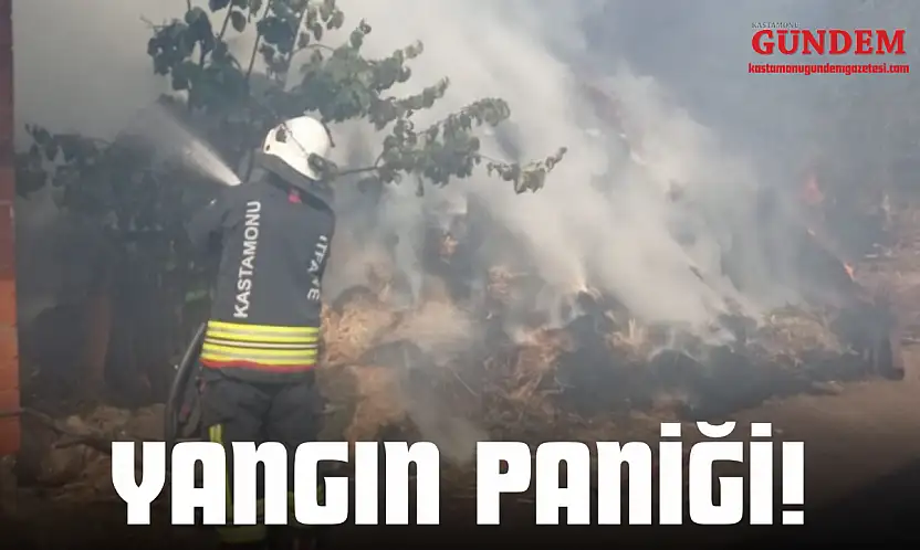 Yangın Paniği!