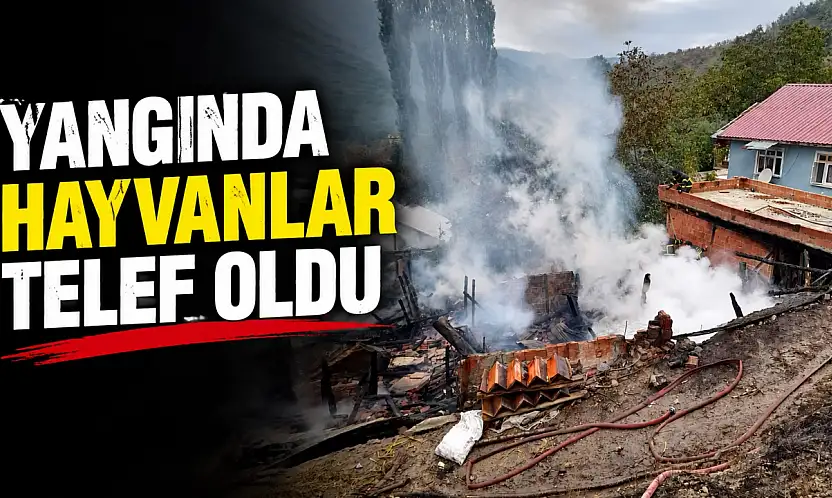 Yangında Hayvanlar Telef Oldu