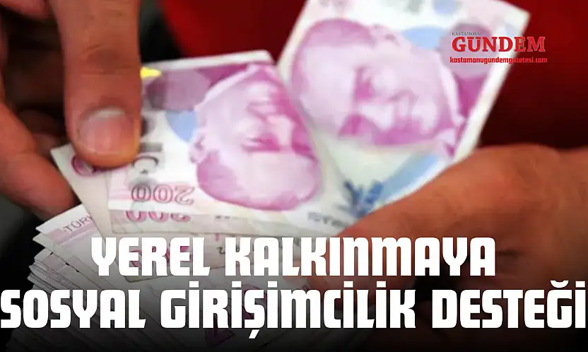 Yerel Kalkınmaya Sosyal Girişimcilik Desteği