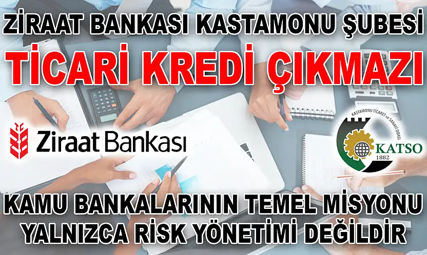 Ziraat Bankası Kastamonu Şubesi Ticari Kredi Çıkmazı Kamu Bankalarının Temel Misyonu Yalnızca Risk Yönetimi Değildir