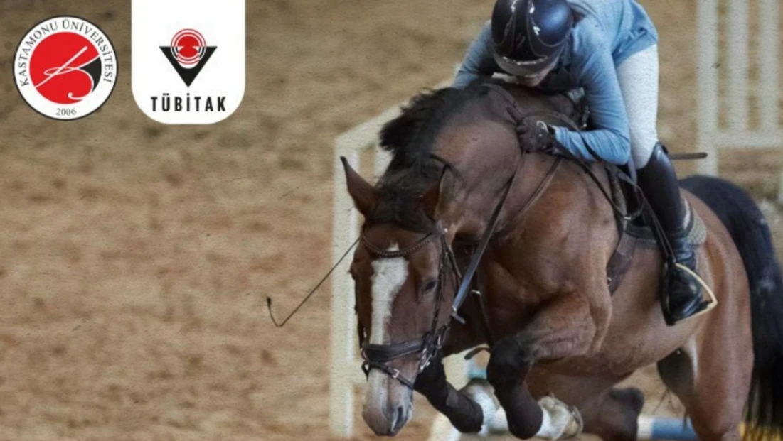 Atçılıkta Yapay Zekâ Dönüşümü