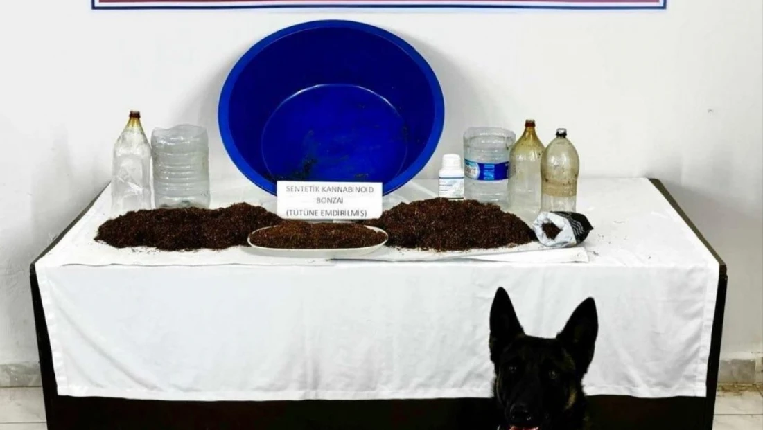 Çankırı'da Uyuşturucu Operasyonu: 1 Gözaltı