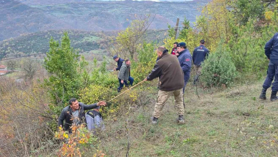 Defne Toplarken Kaybolan Kadının Cansız Bedeni Bulundu