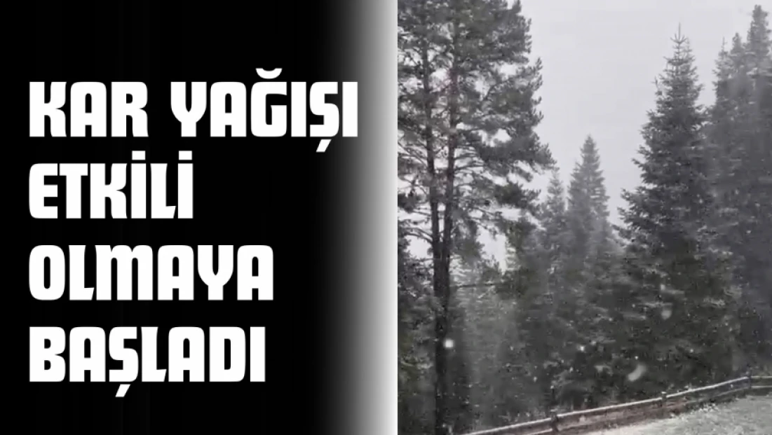 Ilgaz Dağı'nda Kar Yağışı Etkili Olmaya Başladı