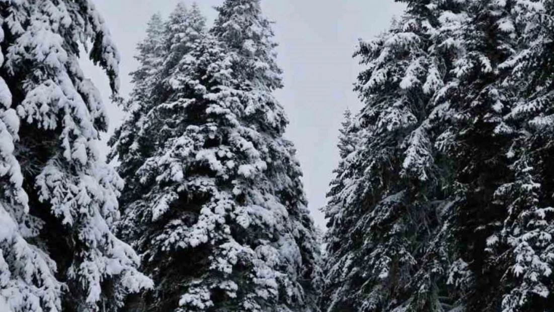 Çankırı'da Kar Yağışı Etkili Oldu