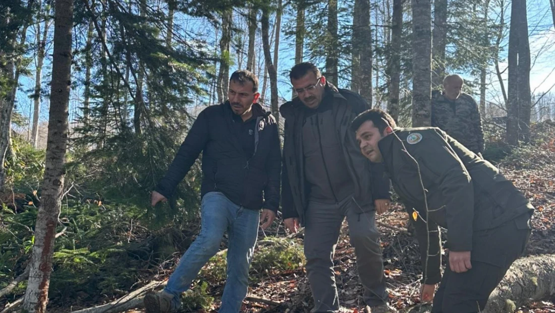 Orman Emvali İstifleme Deposunda Denetim