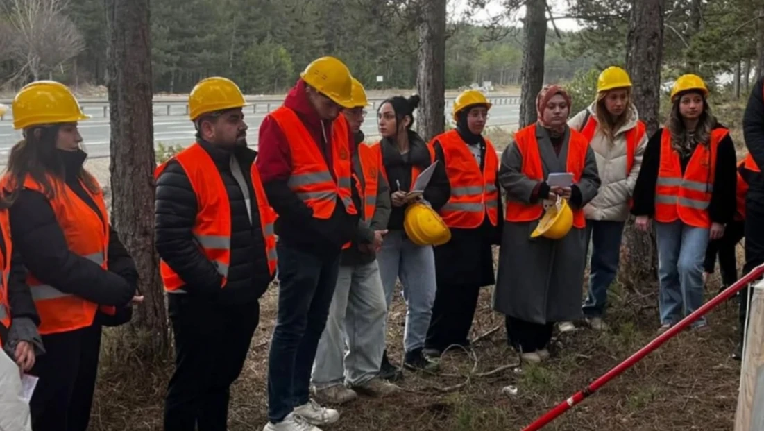 Orman Zararlılarıyla Mücadele Sürüyor