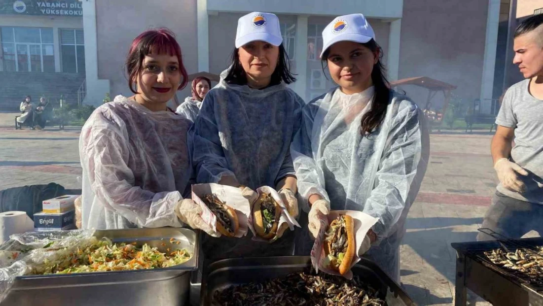 Sinop'ta Şenlikte 1 Ton Hamsi Tüketildi