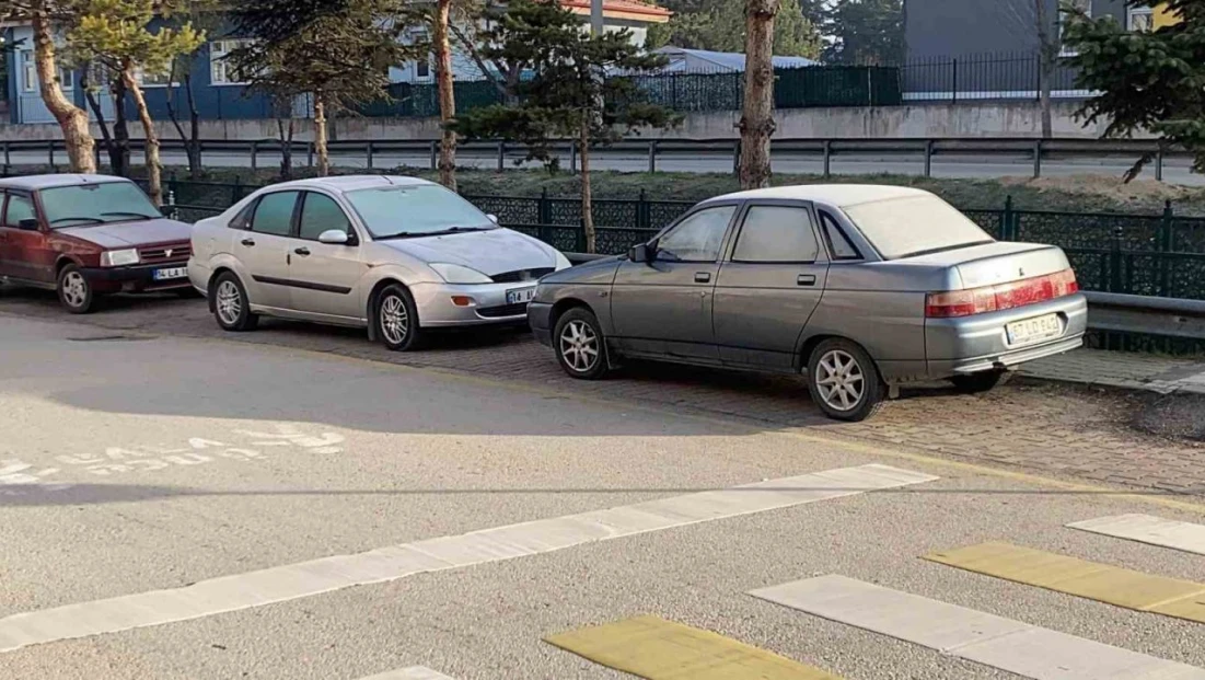 Çimler Ve Otomobil Camları Buz Tuttu