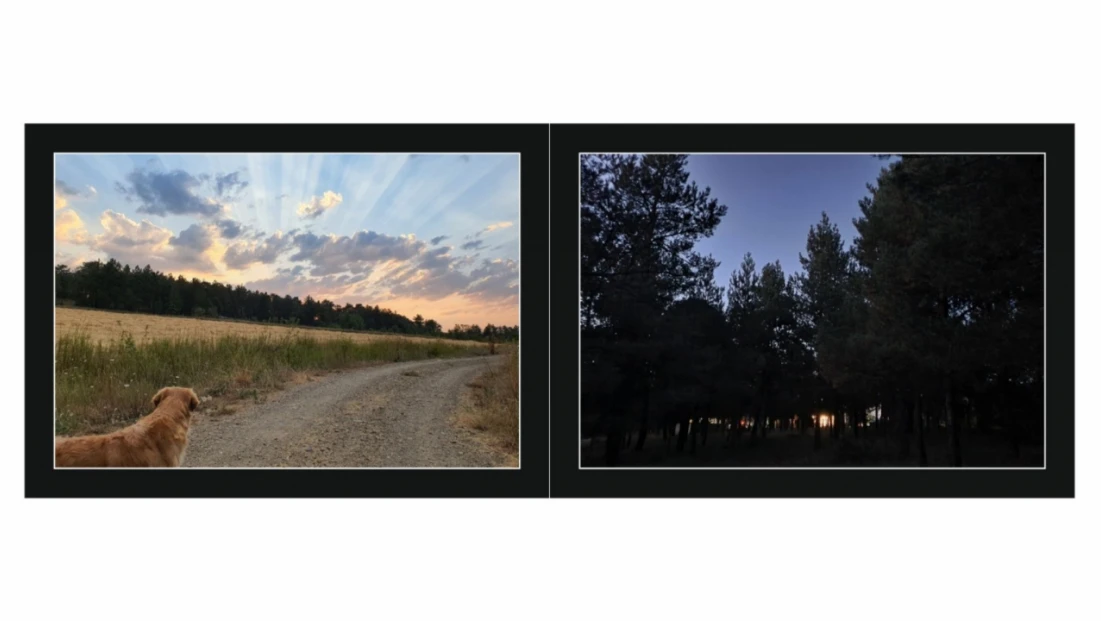 Yaşama Estetik Bağlılık Sergisi Sanatseverlerle Buluşuyor