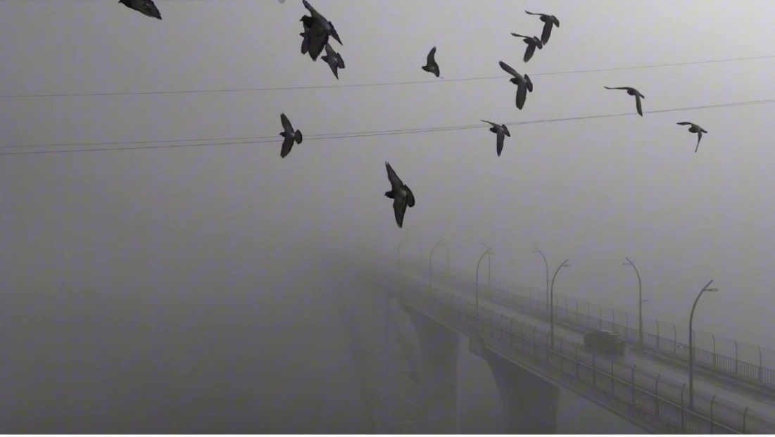 Yoğun Sisten Kaybolan Yapılar Dronla Görüntülendi