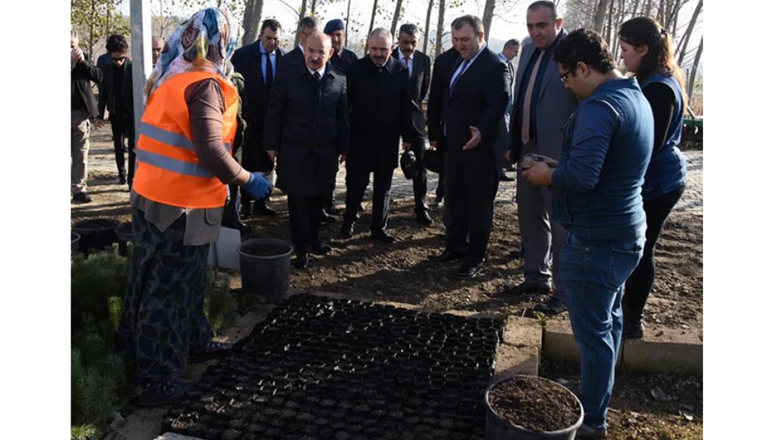 11 Kasım 'Milli Ağaçlandırma Günü' ilan edildi