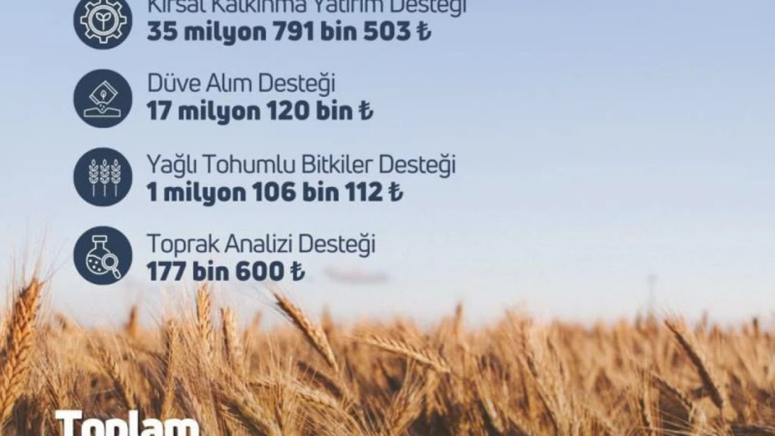 119,1 Milyon Liralık Destek Ödemesi Aktarıldı