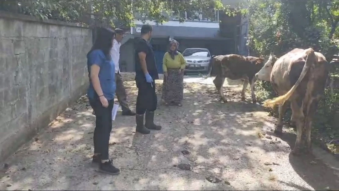 120 köy karantina ve gözetim altına alındı