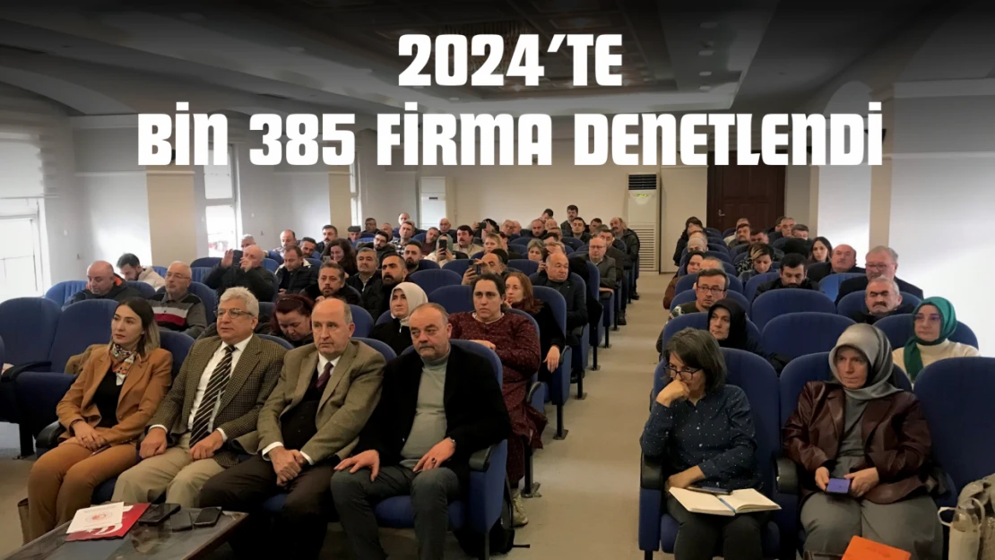 2024'te Bin 385 Firma Denetlendi