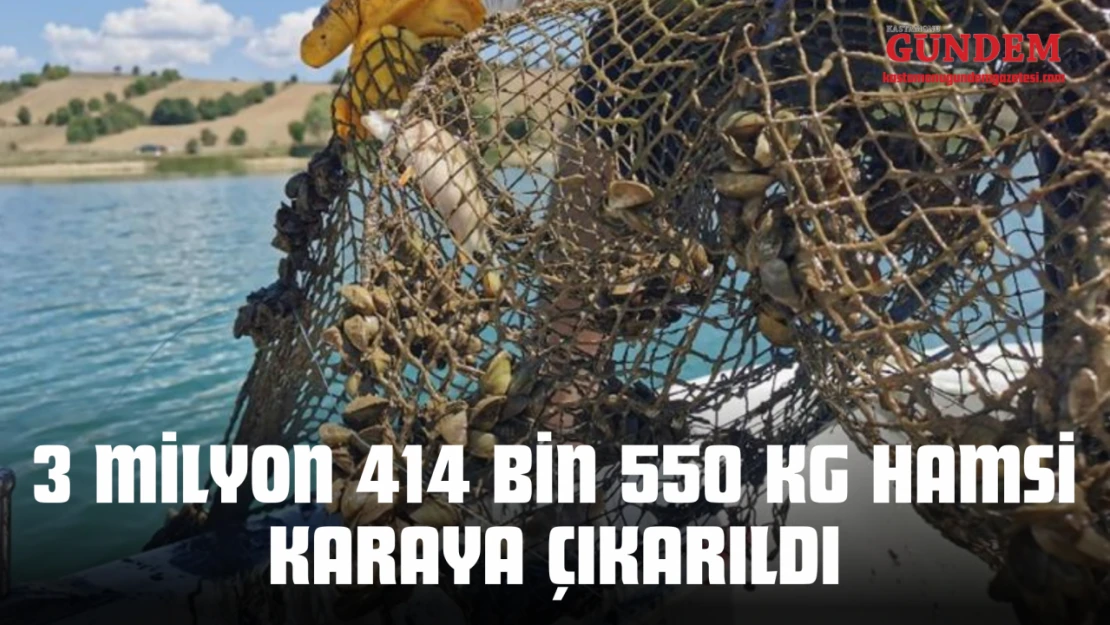 3 Milyon 414 Bin 550 Kg Hamsi Karaya Çıkarıldı