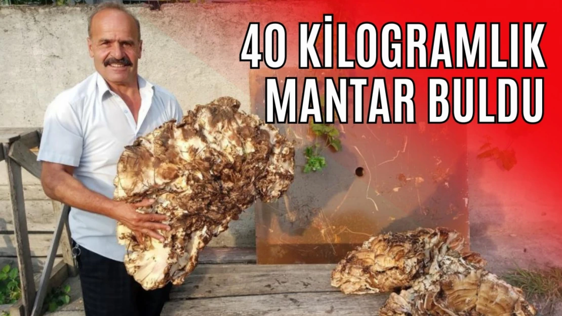 40 Kilogramlık Mantar Buldu