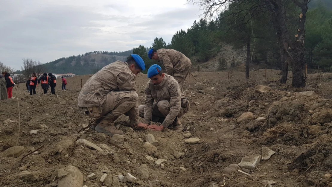 52 Bin 46 Fidan Toprakla Buluşturuldu