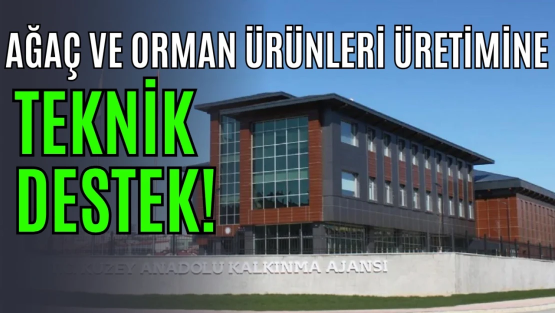 Ağaç ve Orman Ürünleri Üretimine Teknik Destek