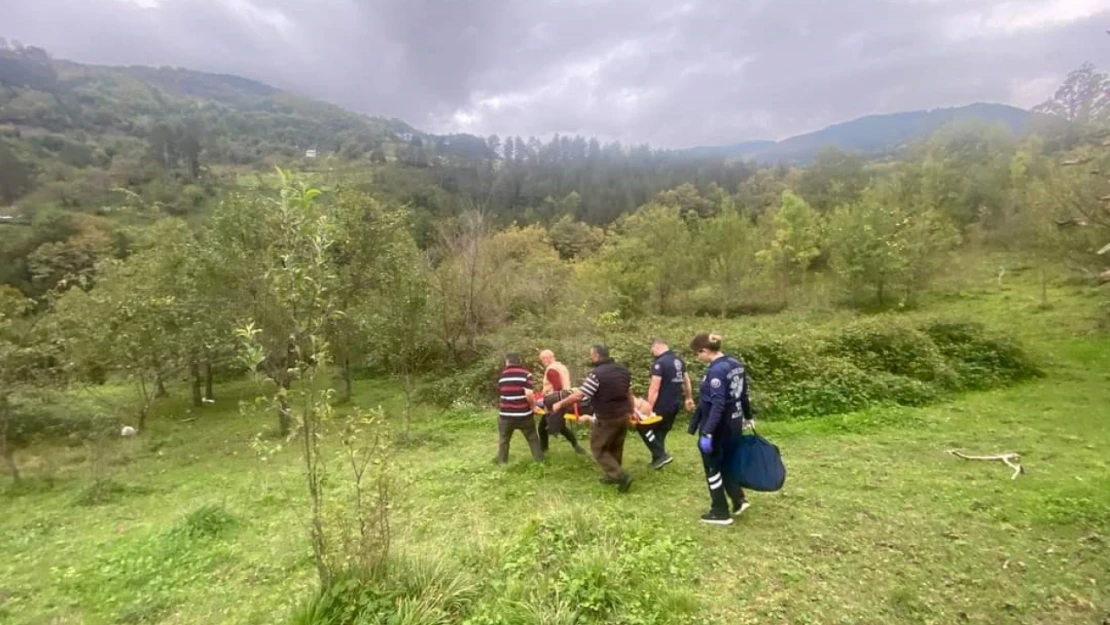 Ağaçtan Düşen Vatandaş 3 Saatte Hastaneye Ulaştırılabildi