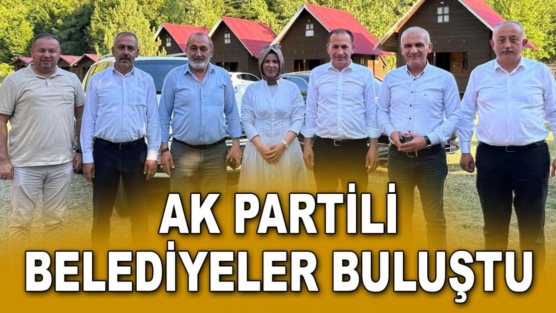 AK Partili Belediyeler Pınarbaşı'nda Buluştu