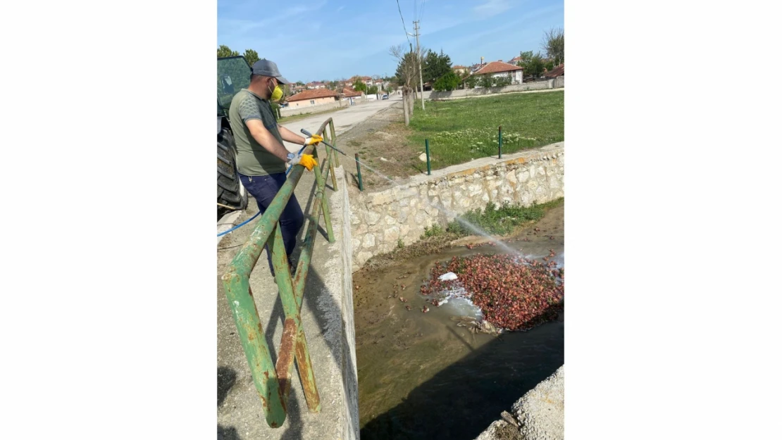 Alaca Belediyesi'nden Sivrisineklerle Etkin Mücadele