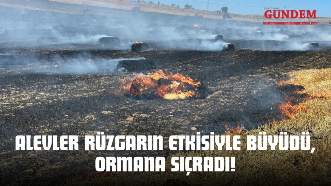 Alevler Rüzgarın Etkisiyle Büyüdü, Ormana Sıçradı!