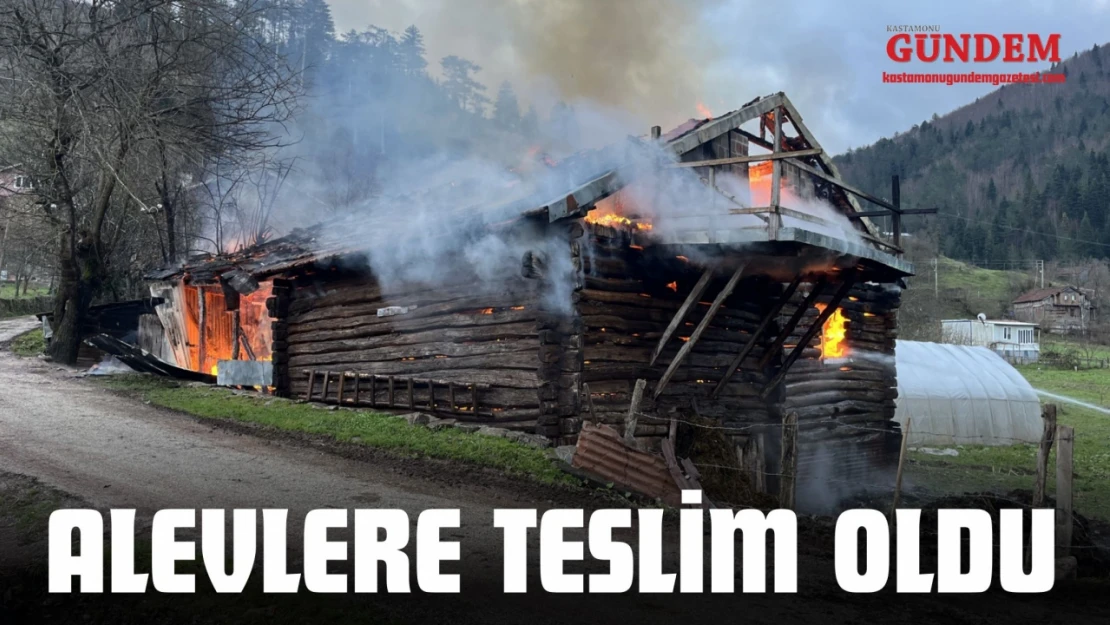 Alevlere Teslim Oldu