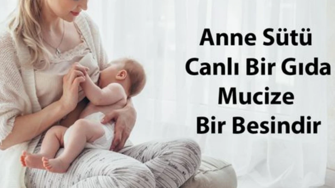 Anne Sütünün Önemi Vurgulandı