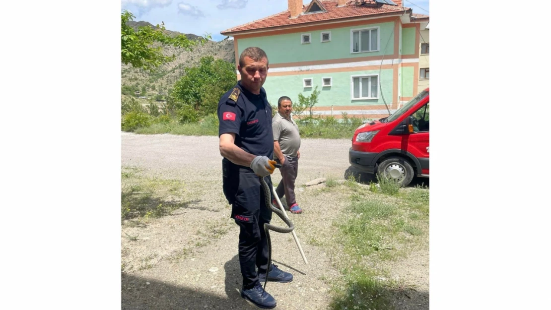 Apartmana giren yılan korkuttu