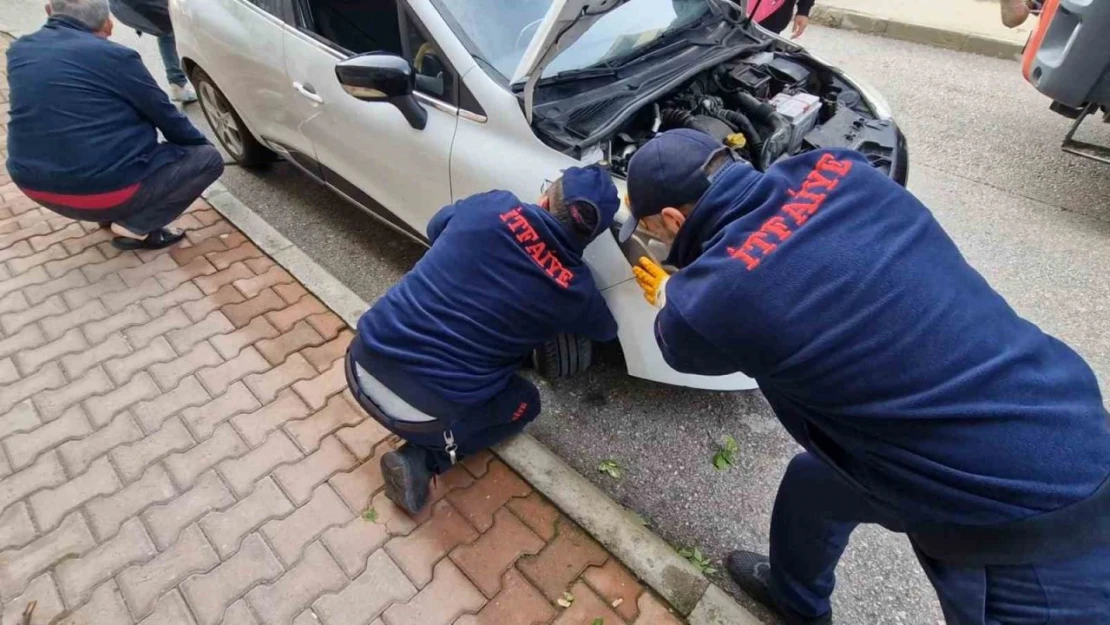 Araç Motoruna Giren Kedileri Kurtarmak İçin Seferber Oldular