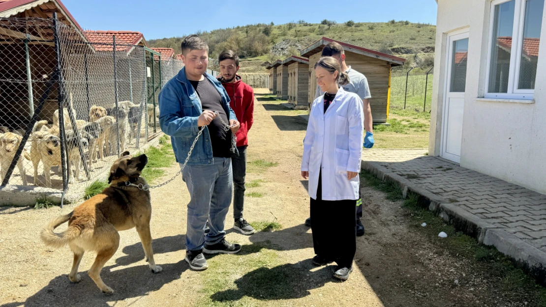Aradığı Köpeğini Eflani'de Buldu