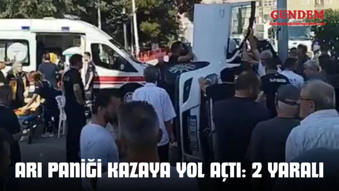 Arı Paniği Kazaya Yol Açtı: 2 Yaralı