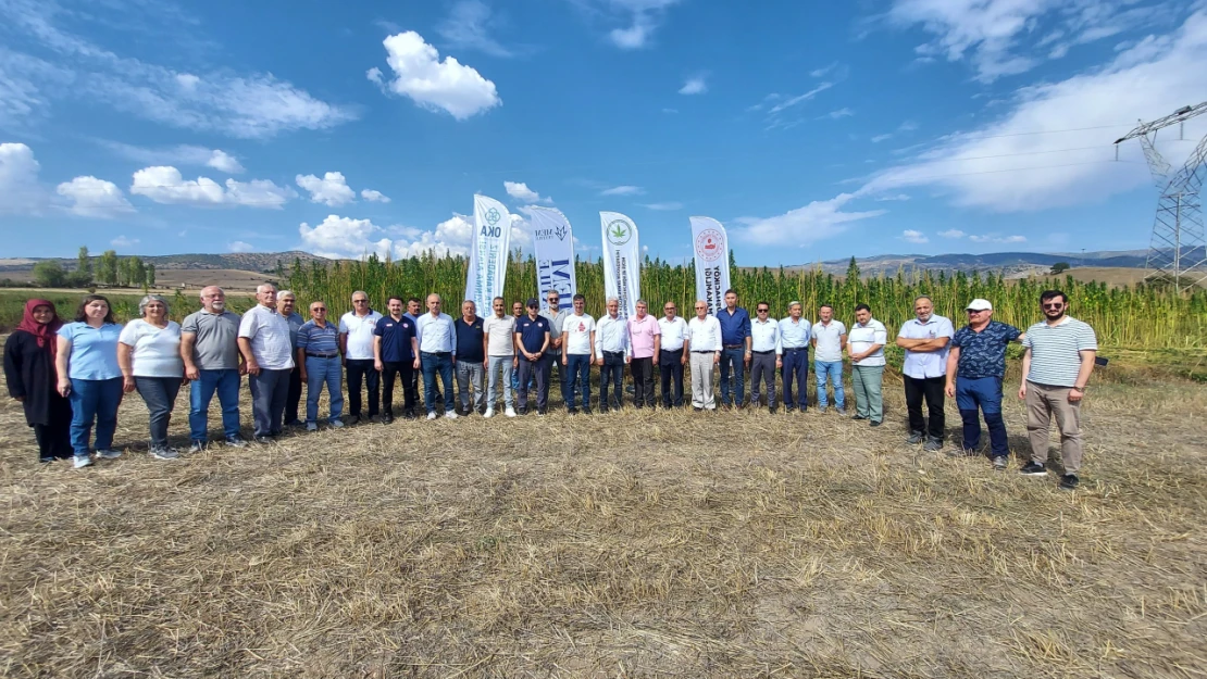 Ata Tohumlarıyla Ekilen Kenevirin Hasadı Başladı