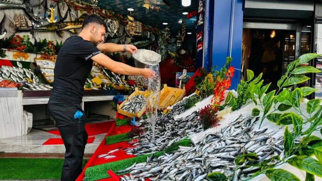 Av yasağı sona erdi, tezgahlar balıkla şenlendi