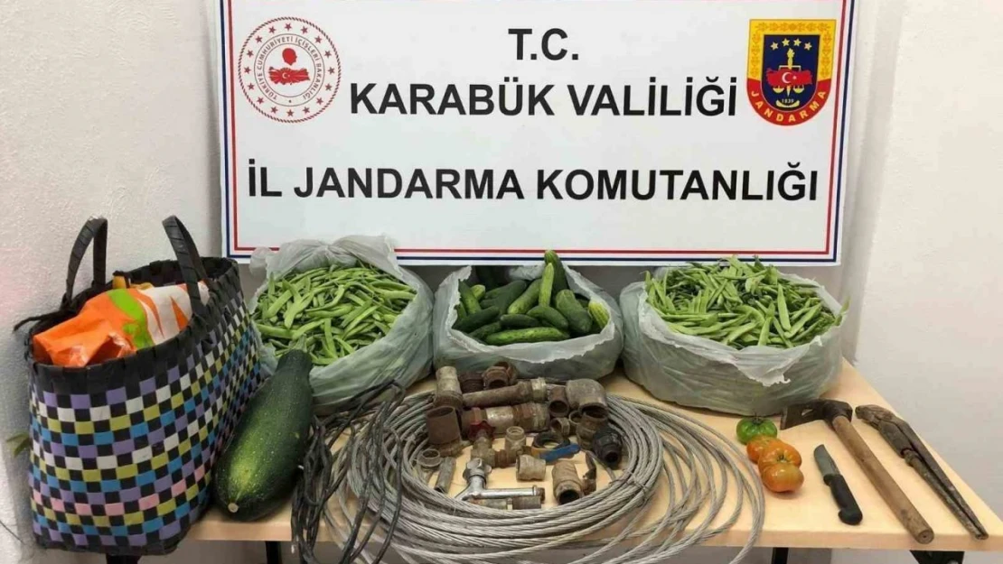 Bahçeden Çaldıklarıyla Ormanda Yakalandılar