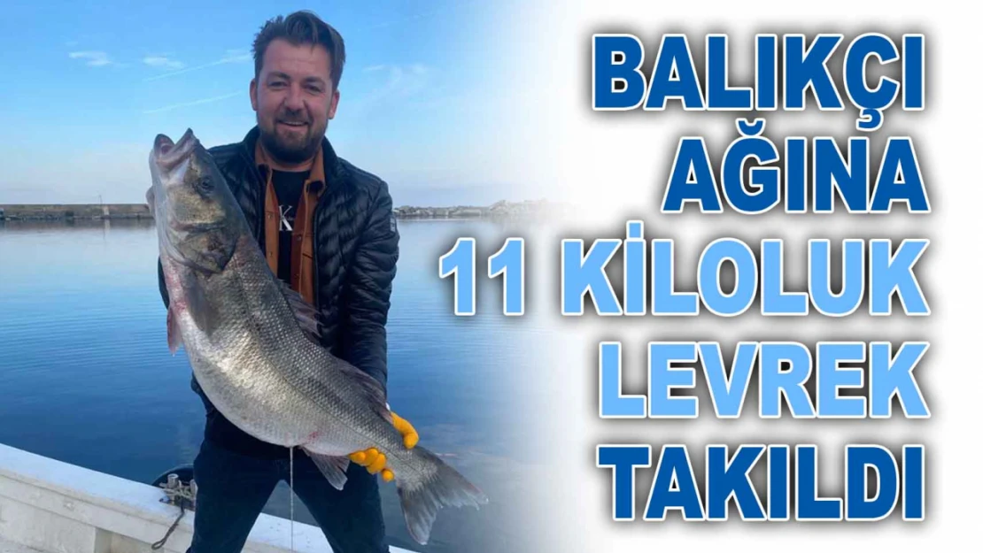 Balıkçı Ağına 11 Kiloluk Levrek Takıldı