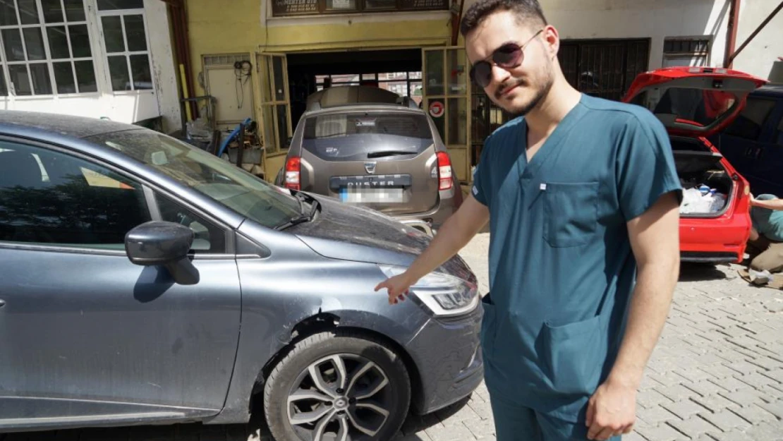 Başıboş köpekler arabayı parçaladı