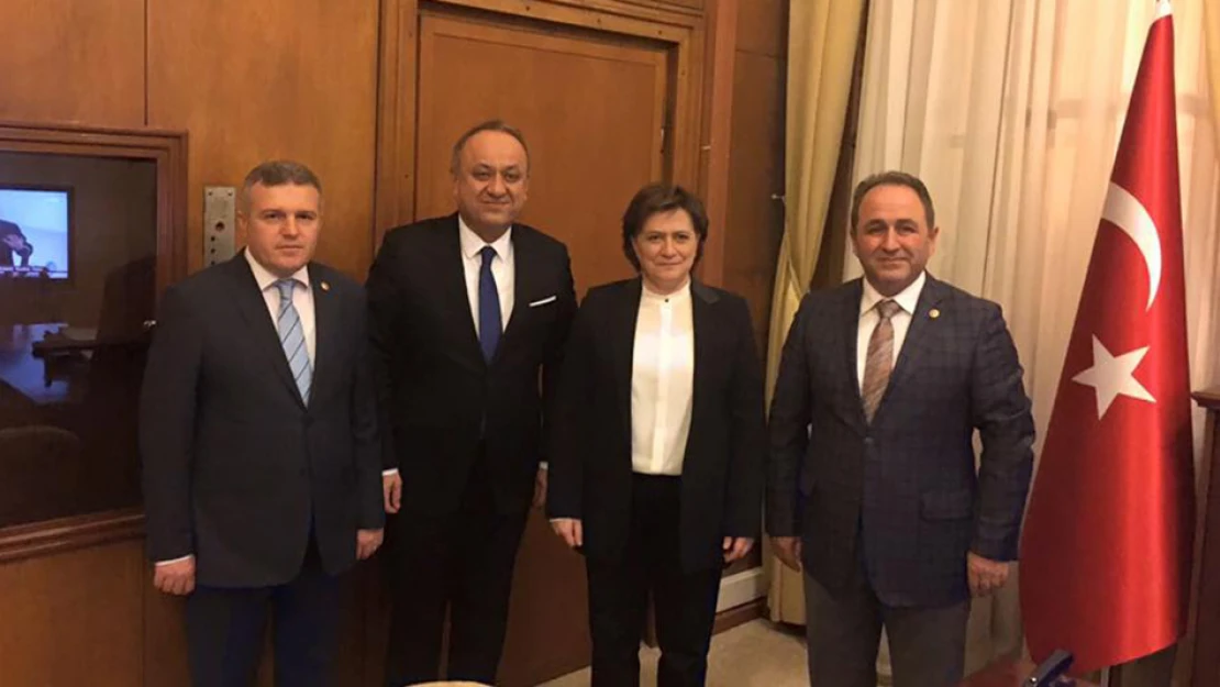 Başkan Babaş, Bakan Sarı'ya Güneykent'i sundu