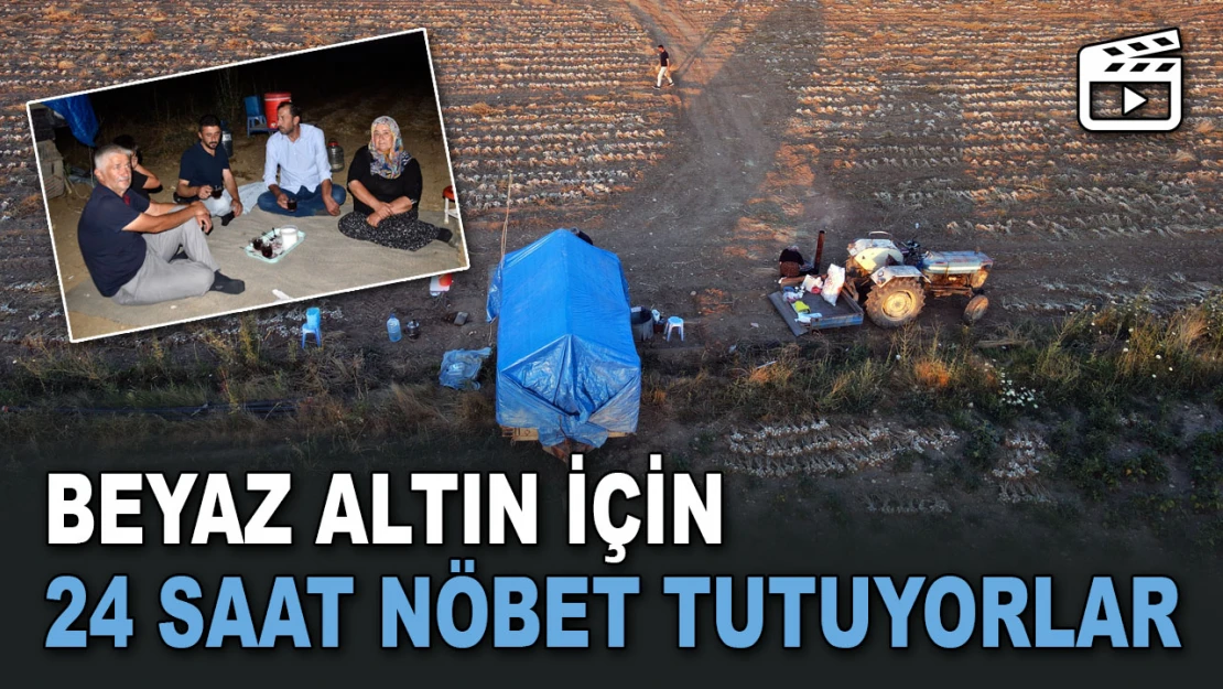 Beyaz Altın İçin 24 Saat Nöbet Tutuyorlar