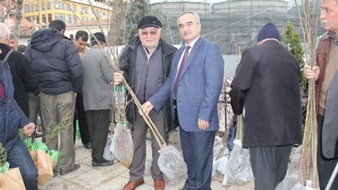 Binlerce fidan halka ücretsiz dağıtıldı