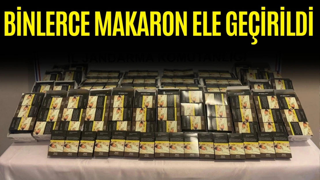 Binlerce Makaron Ele Geçirildi