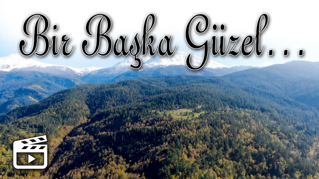 Bir Başka Güzel…