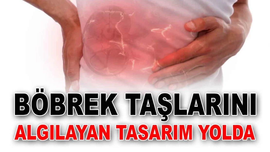 Böbrek Taşlarını Algılayan Tasarım Yolda