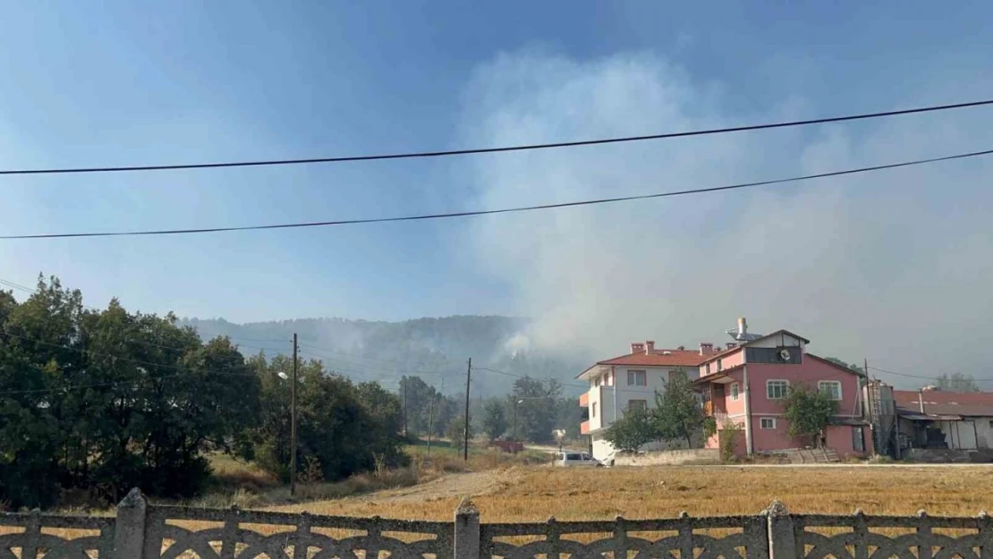 Bolu'da 12 Farklı Noktadaki Yangın 3'e İndirildi