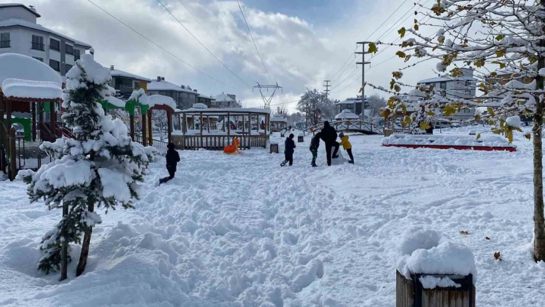 Bolu'da 4 İlçede Kar Tatili