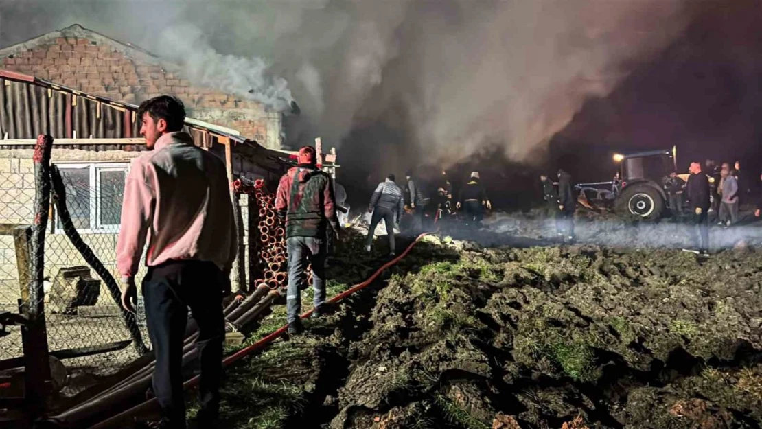 Bolu'da Ahır Ve Samanlık Alev Alev Yandı