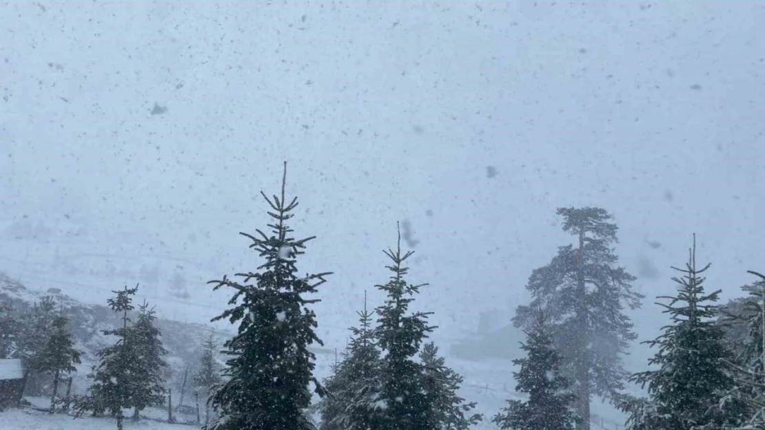 Bolu'da Nisan Ayında Lapa Lapa Kar Yağışı