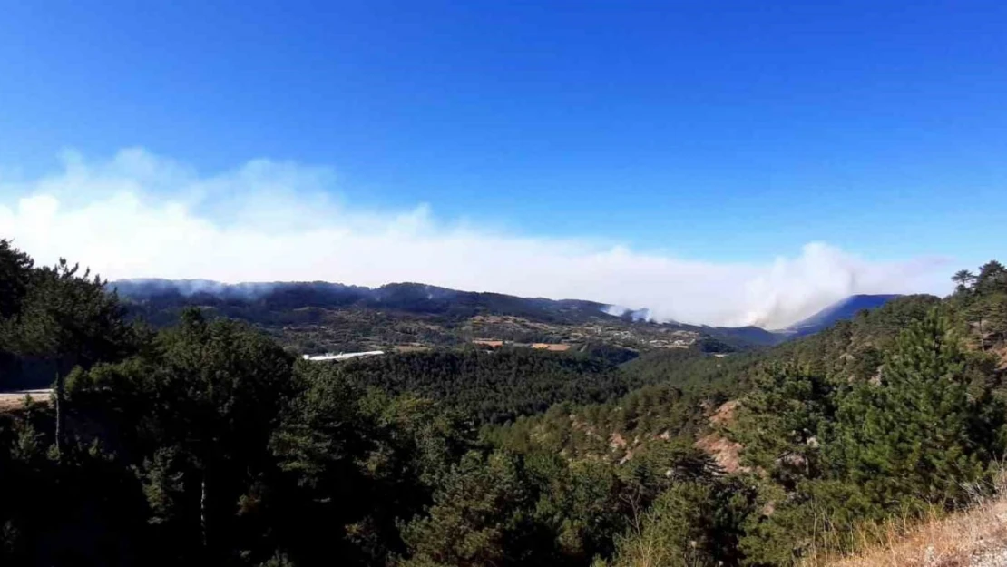 Bolu'da Orman Yangını 21'nci Saatinde