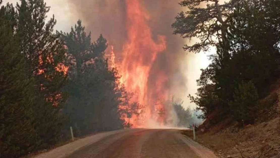 Orman Yangını Korkuttu